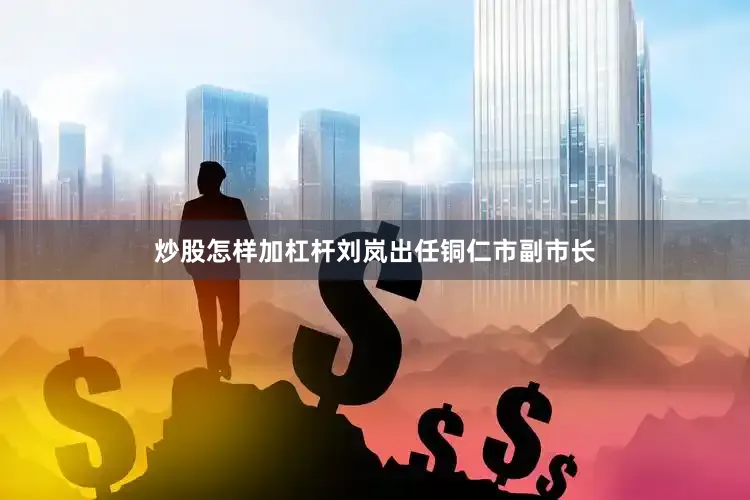 炒股怎样加杠杆刘岚出任铜仁市副市长