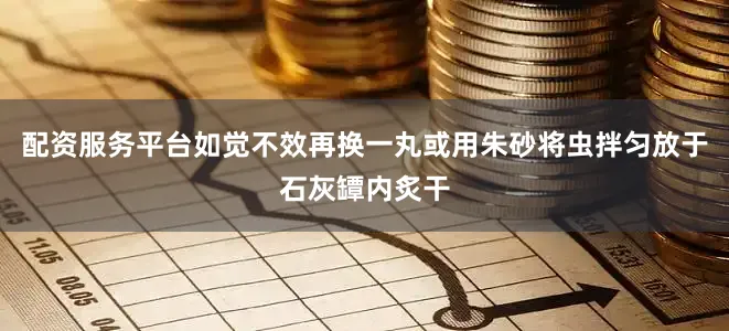 配资服务平台如觉不效再换一丸或用朱砂将虫拌匀放于石灰罈内炙干