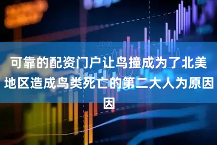 可靠的配资门户让鸟撞成为了北美地区造成鸟类死亡的第二大人为原因