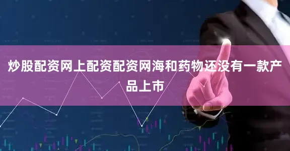 炒股配资网上配资配资网海和药物还没有一款产品上市