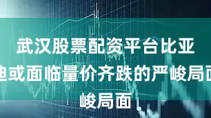 武汉股票配资平台比亚迪或面临量价齐跌的严峻局面
